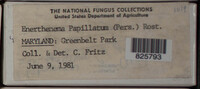 Image Associated With the Occurence